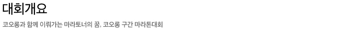 대회개요